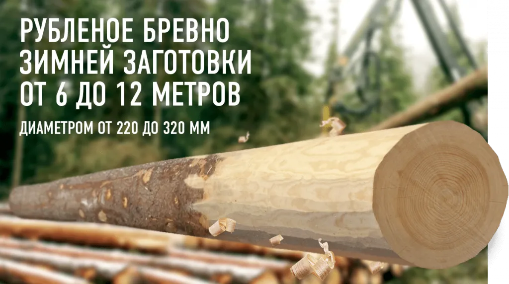 banner-brevno_0.png